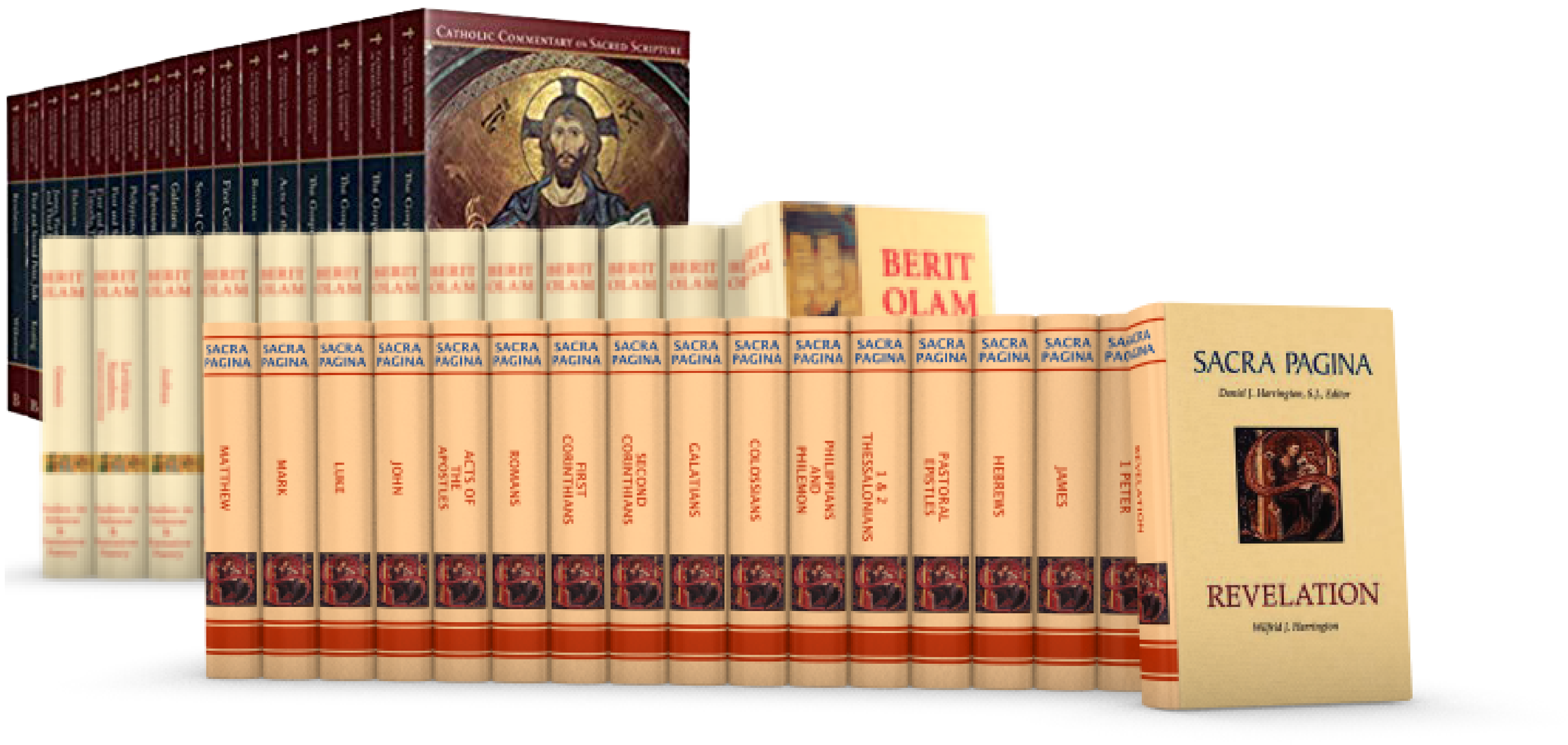 Catholic Commentaries Set Accordance catholic-commentaries-set-accordance