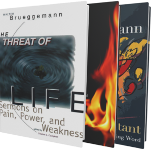 Collection of 3 Preaching Works by Walter Brueggemann
