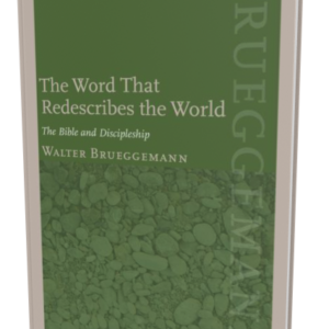 Word That Redescribes the World, The (Brueggemann)