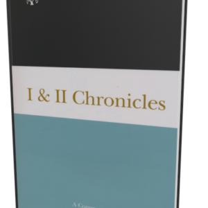 OT Library Commentary: 1-2 Chronicles (Sara Japhet)