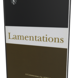 OT Library Commentary: Lamentations (Adele Berlin)