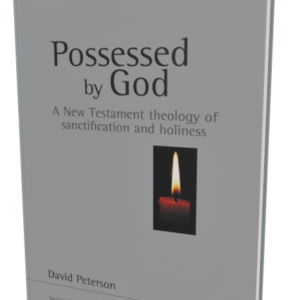 Possessed by God (Peterson)