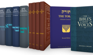 Jewish Commentaries Set (19 Volumes)