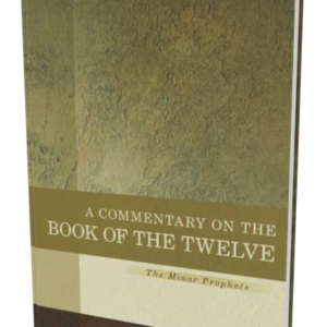 Kregel Exegetical Library: Twelve Prophets