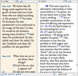 NICNT in parallel with Romans