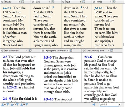 4 translations and 3 study Bibles in parallel