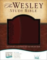 Wesley Study Bible