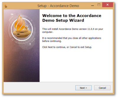 Windows Demo Install