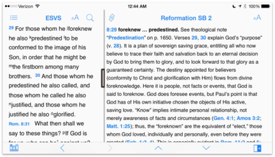 Reformation Study Bible 2015 - iPhone