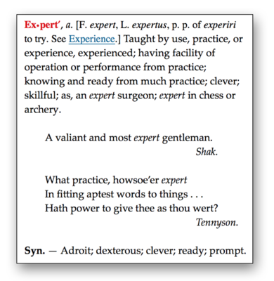 Expert definition