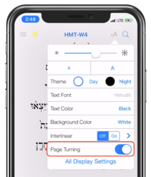 Page Turning Settings Am 2.6