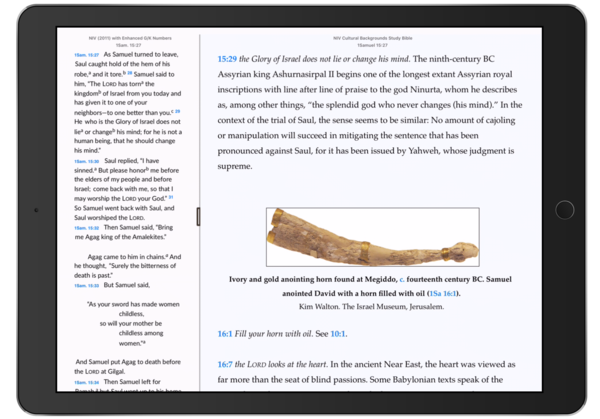 NIV Cultural Backgrounds Study Bible - iPad