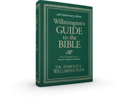 Willmington's Guide cover 3D