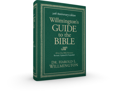 Willmington's Guide cover 3D