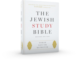 Jewish Study Bible, 2nd ed. - 3D
