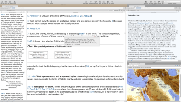 Access Bible - macOS