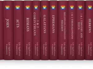 Life Application Commentary: New Testament (17 Volumes)