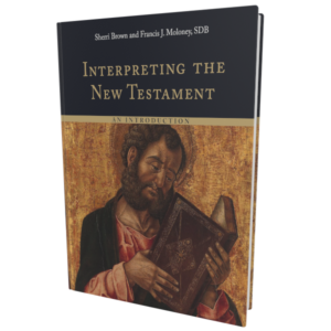 Interpreting the New Testament (Brown & Moloney)