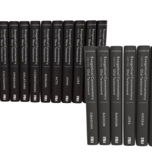 Zondervan Exegetical Commentary on the OT / NT Bundle (20 volumes)