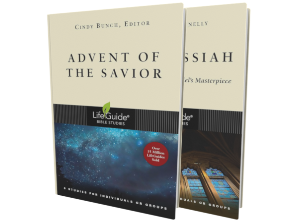 LifeGuides: Advent Bundle
